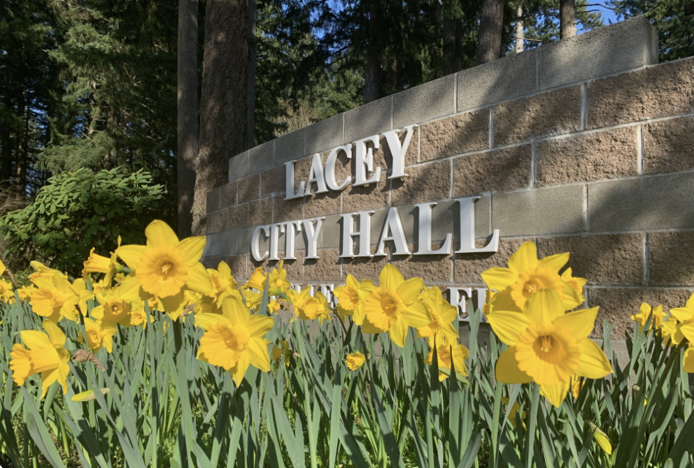 Lacey City Hall sign with yellow daffodils in front.